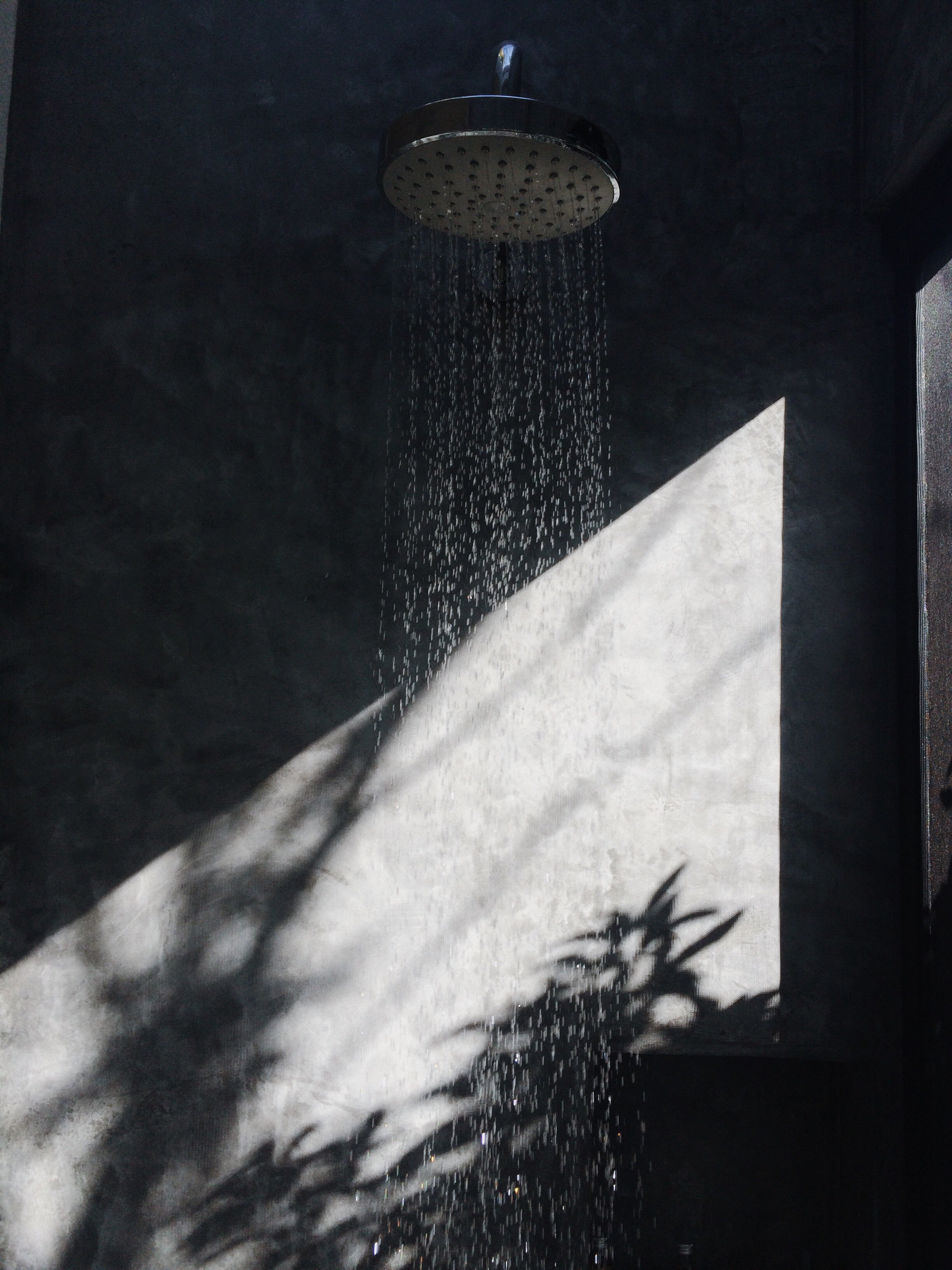 Collection page banner